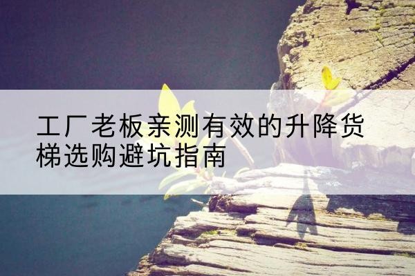 高邮升降货梯怎么选-工厂老板亲测有效的升降货梯选购避坑指南