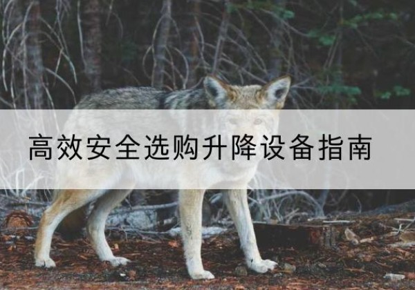 高邮升降货梯厂家推荐-*安全选购升降设备指南