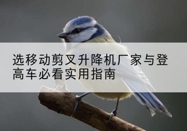 高邮电动升降机厂家-选移动剪叉升降机厂家与登高车必看实用指南