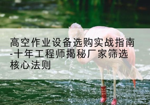 高邮剪叉式升降机厂家-高空作业设备选购实战指南-十年工程师揭秘厂家筛选核心法则